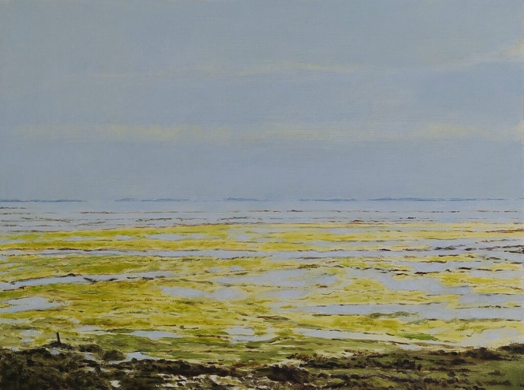 Wad (Schiermonnikoog) | olieverf op paneel | 30×40 cm