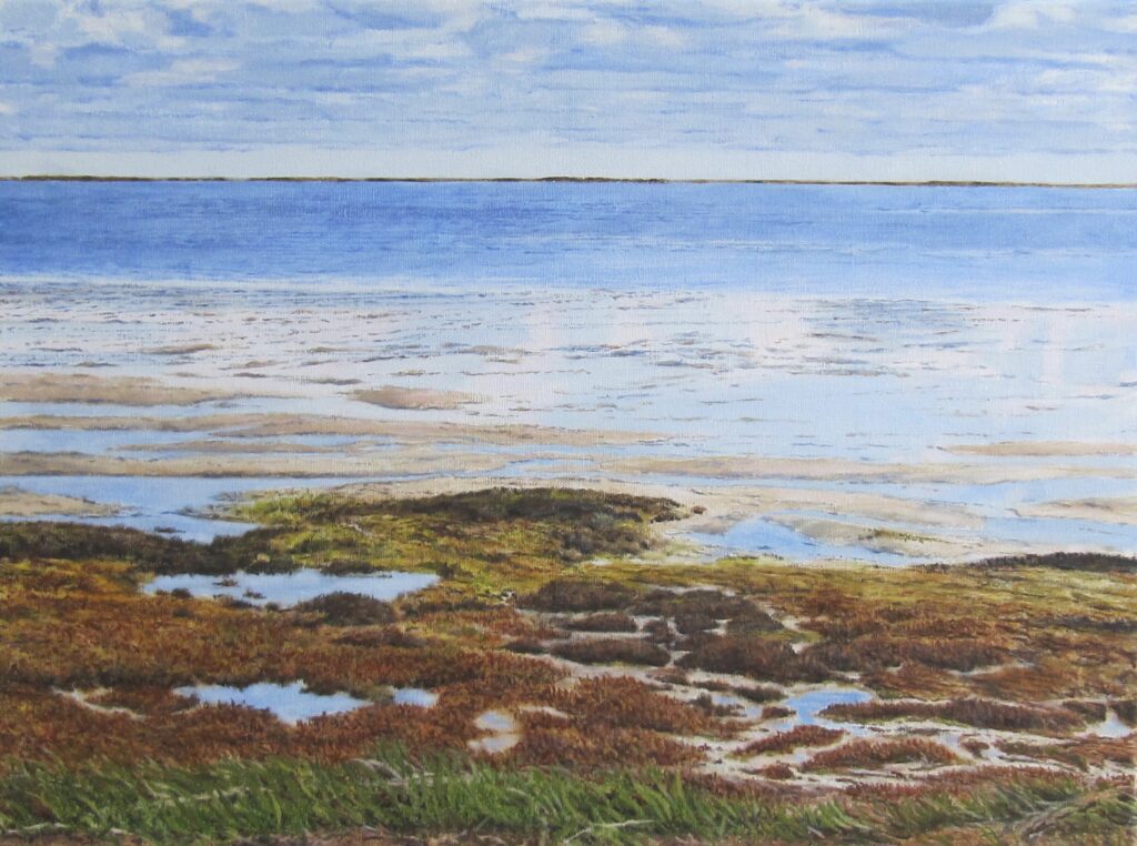 Wad Schiermonnikoog | Olieverf op linnen | 43x58cm
