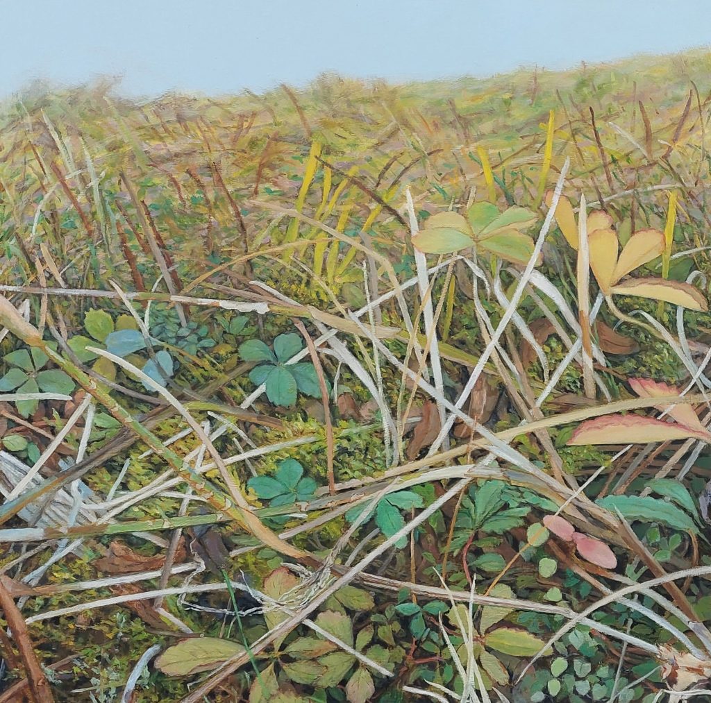 Duinflora | olieverf op paneel | 30×30 cm